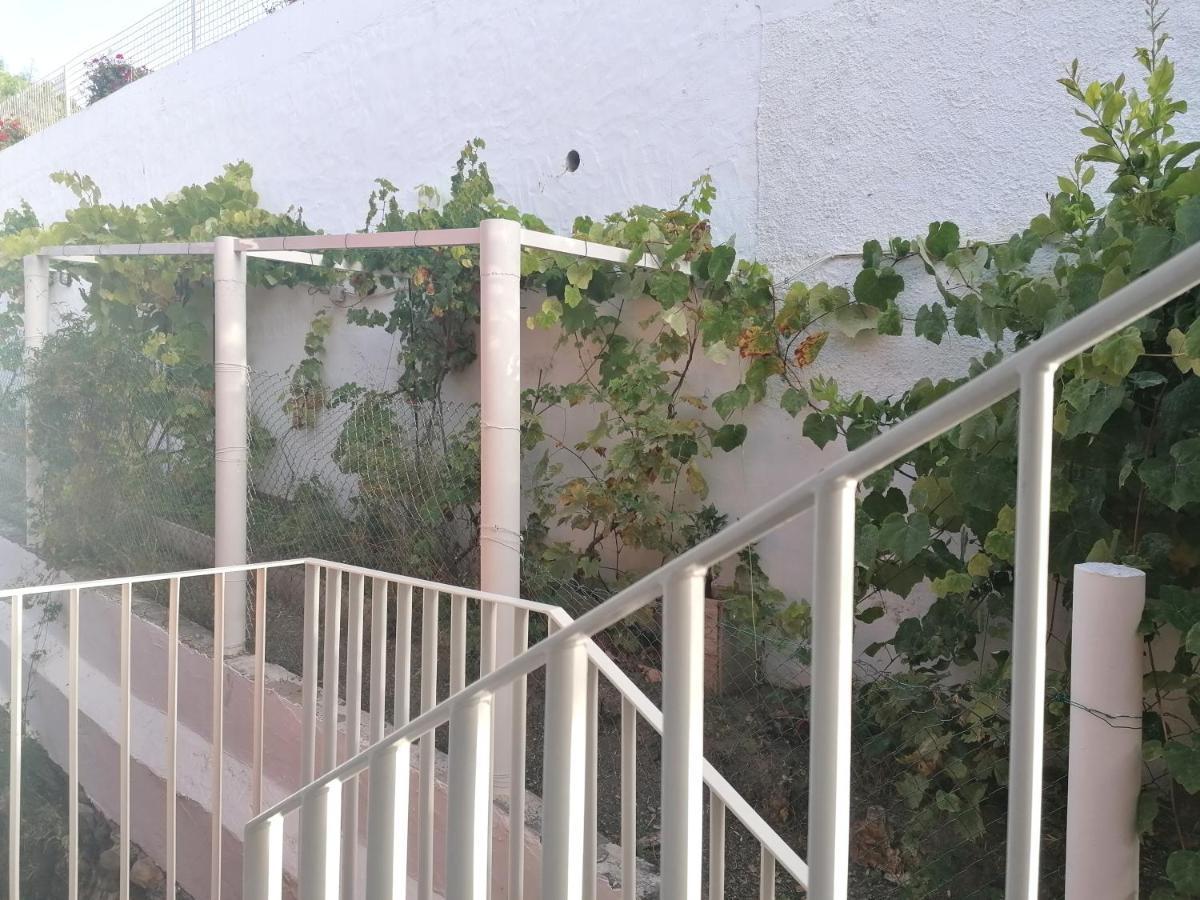 Apartamento Lemmon Tree Санта-Брихида Экстерьер фото